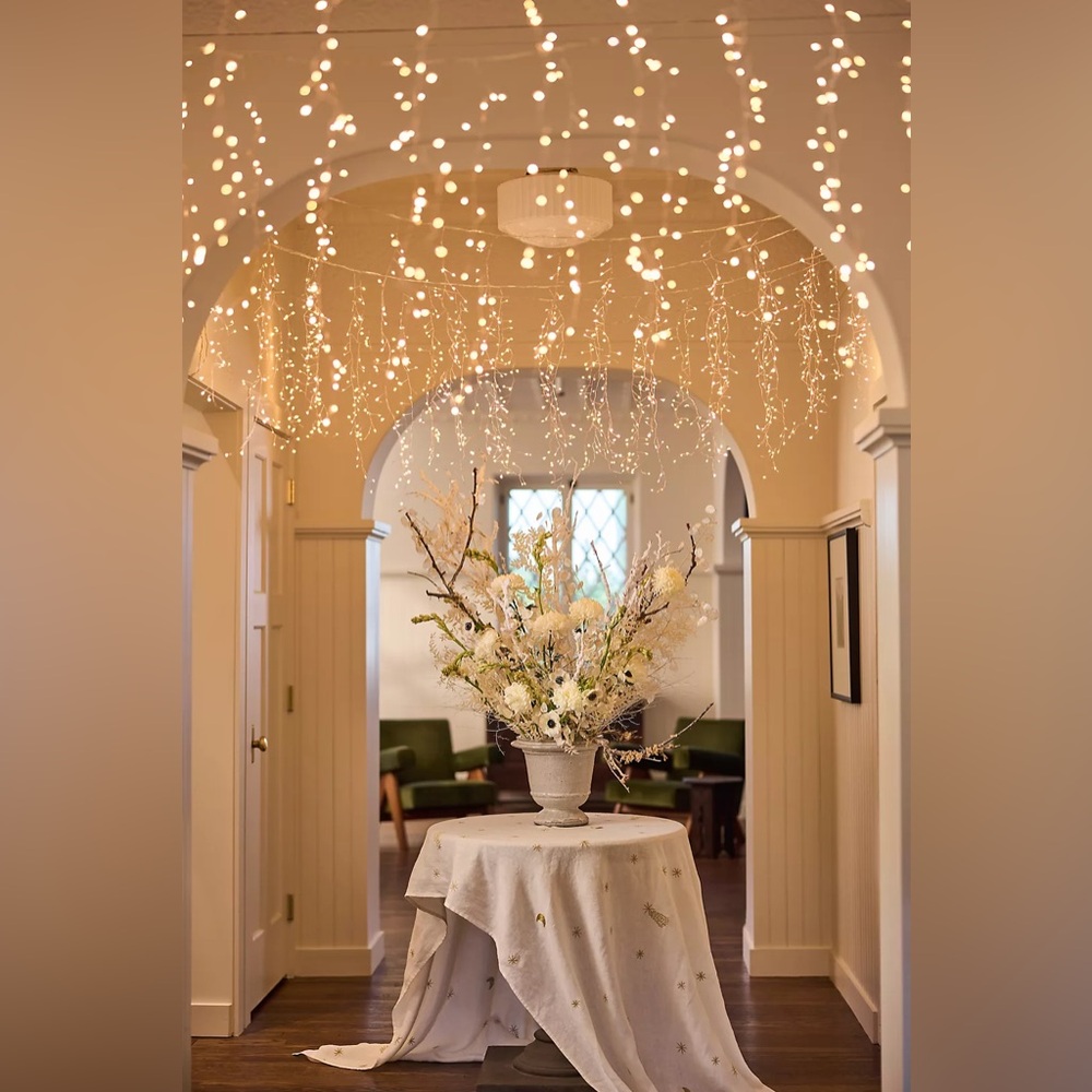 Warm White Fairy String Lights for Home Holiday Decor